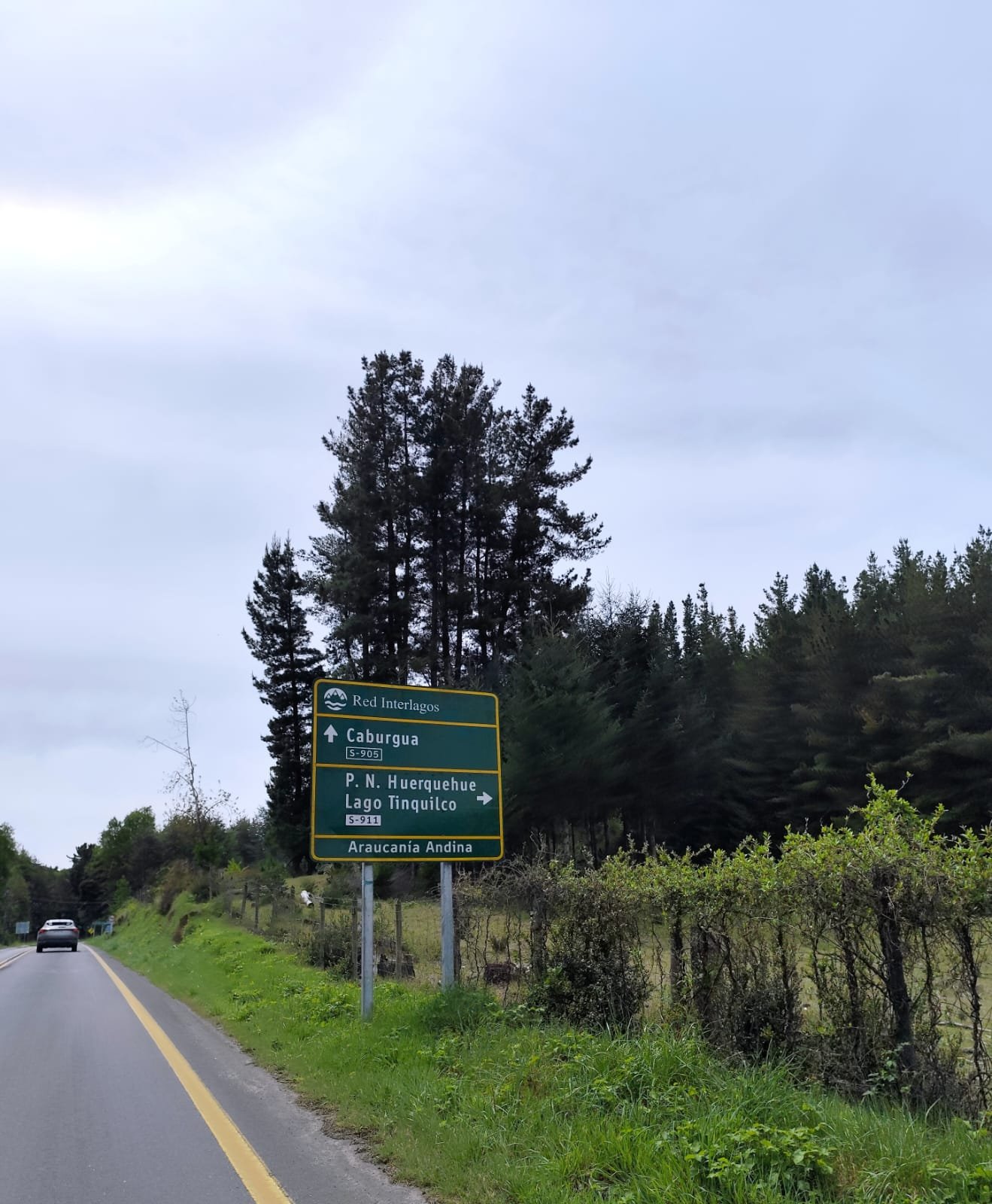 Imagen de WhatsApp 2025-10-24 a las 16.03.40_a7c1fb78