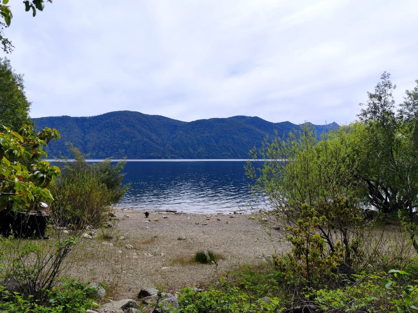 Imagen de WhatsApp 2025-10-24 a las 16.04.53_3bf04392