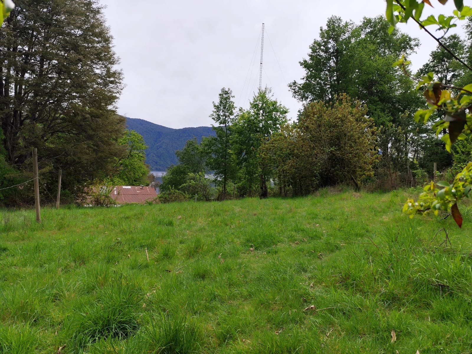 Imagen de WhatsApp 2025-10-24 a las 16.05.34_e1a04d43