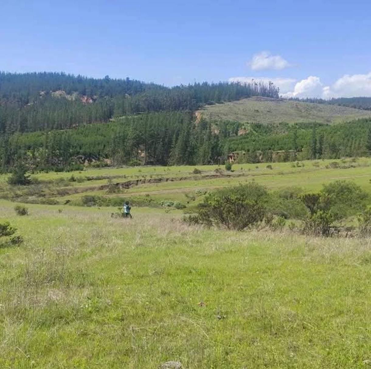 WhatsApp Image 2026-01-29 at 10.15.42 PM